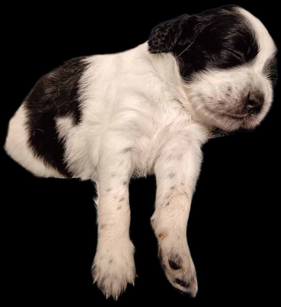 whatsapp image 2025 07 28 à 11.02.42 90b7a8cd