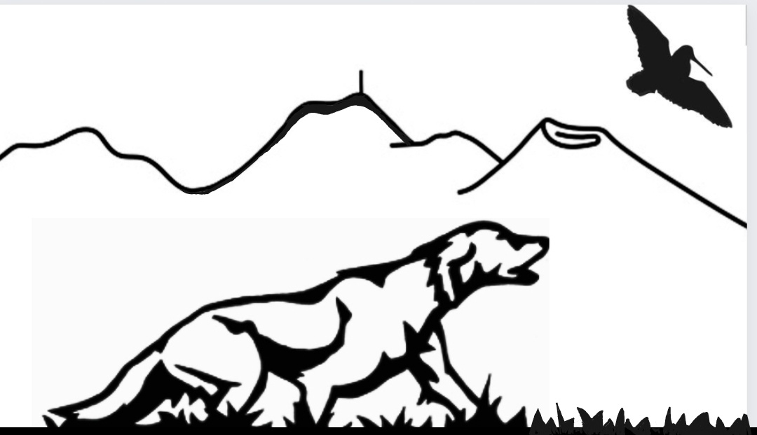 logo prodige