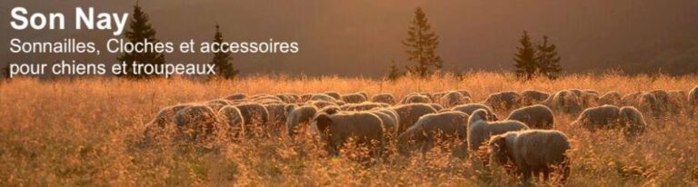 image cloche sonnaille troupeau transhumance brebis chevre vache jument chie