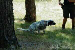 whatsapp image 2026 01 01 at 11.42.49