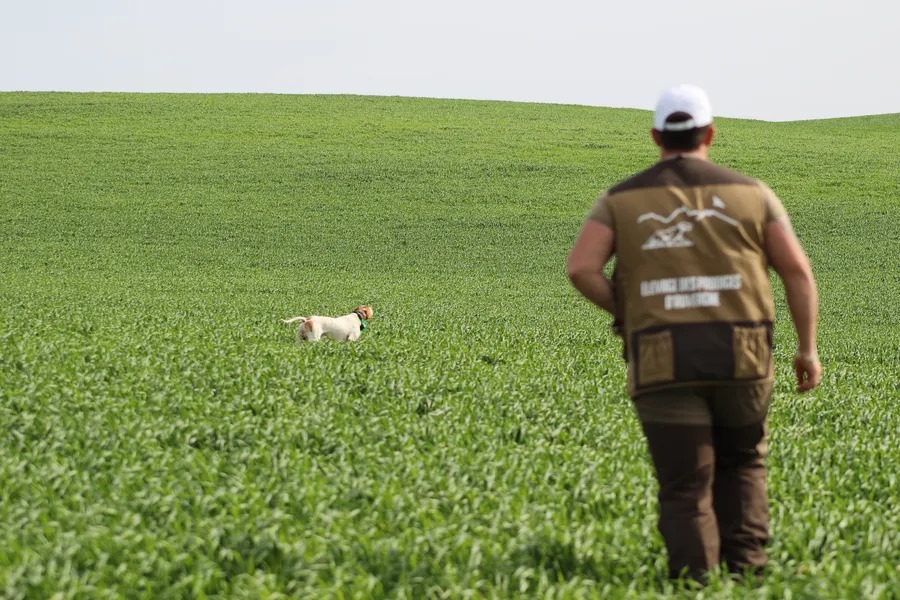 whatsapp image 2026 01 01 at 12.05.40