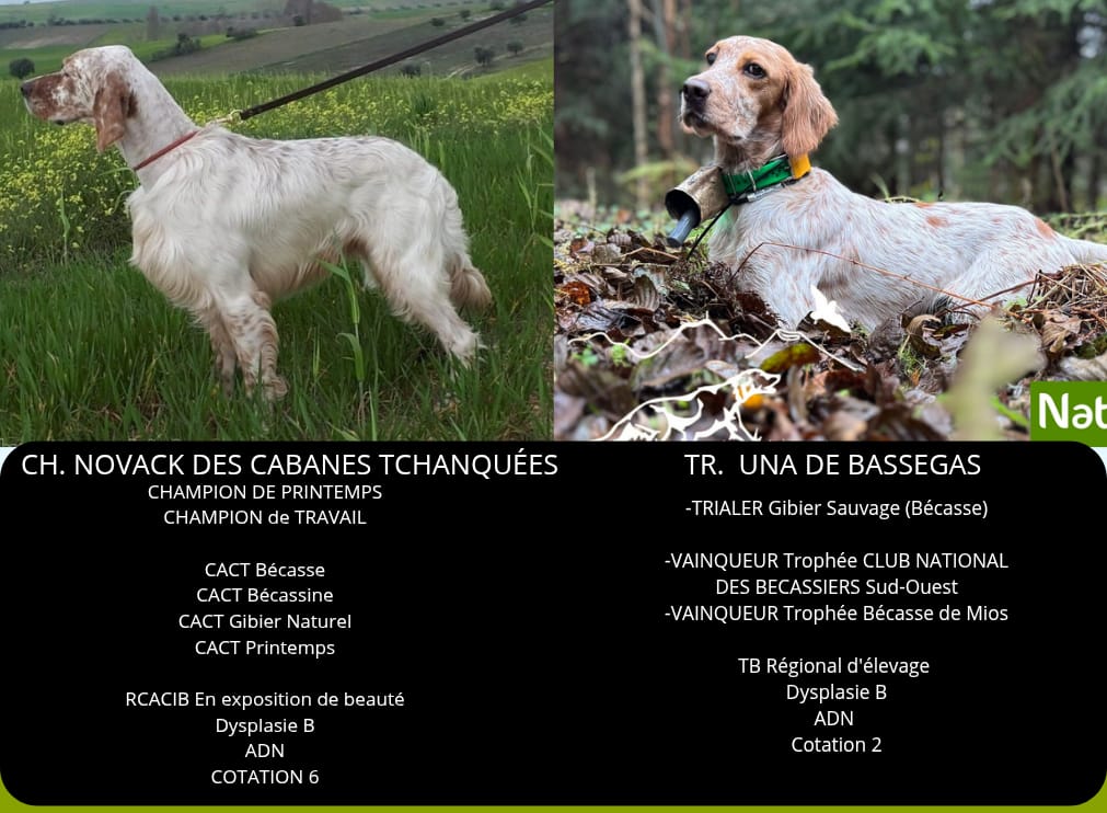 whatsapp image 2026 01 01 at 17.08.00