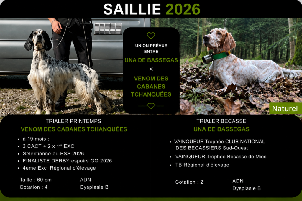 affiche saillie una venom